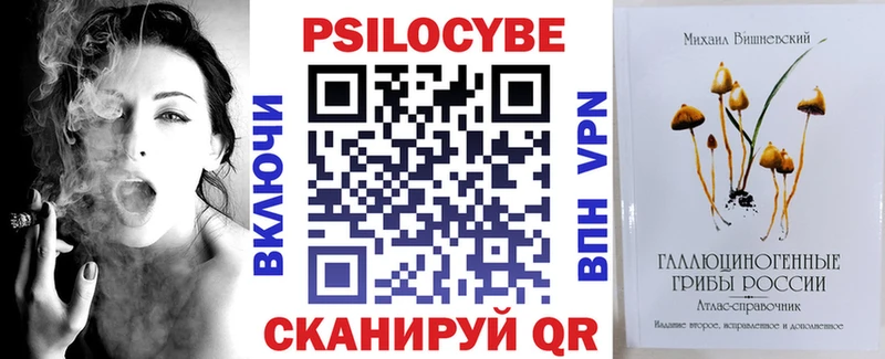 мега ссылка  Долгопрудный  Галлюциногенные грибы прущие грибы  что такое наркотик 