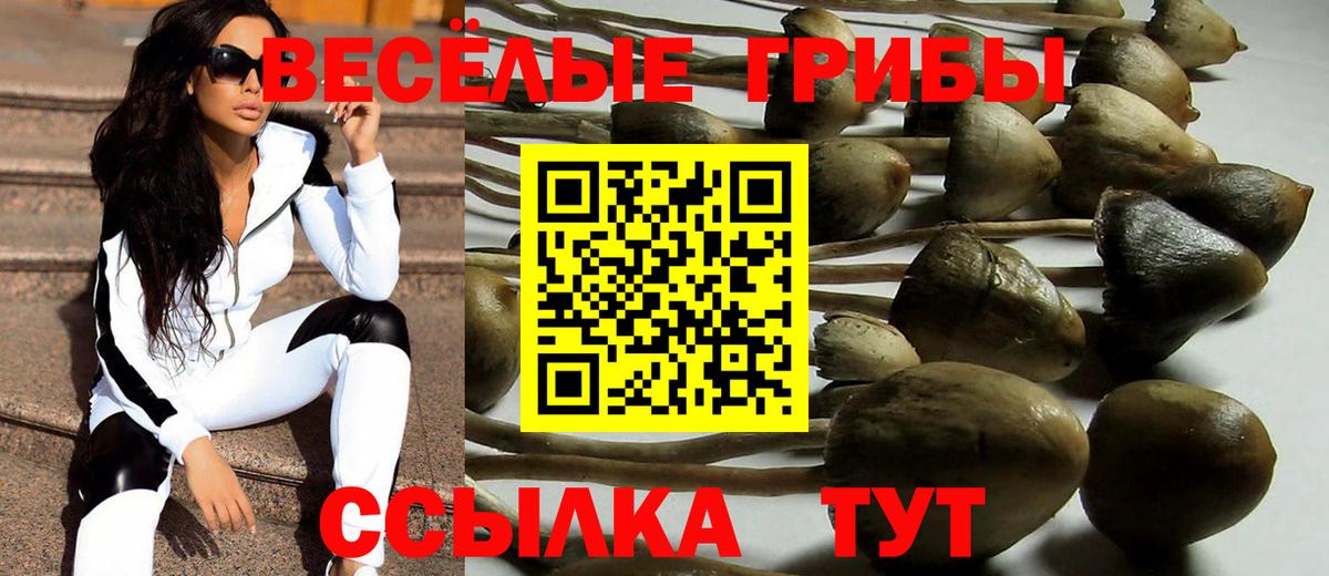 Галлюциногенные грибы GOLDEN TEACHER  где купить наркотик  Долгопрудный  Вход с VPN 